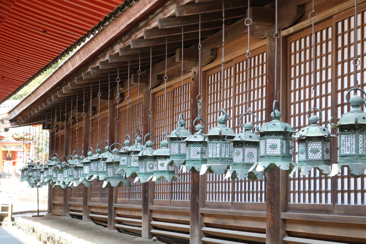 9:30 Nara English Guided Walking Tour (All Entrance Fee Included)