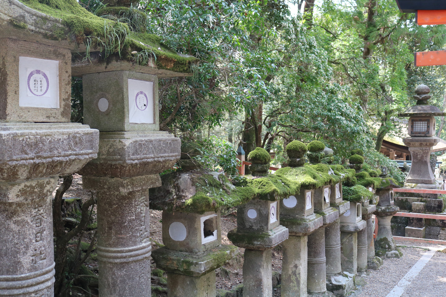 9:30 Nara English Guided Walking Tour (All Entrance Fee Included)